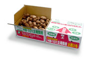 土さといも-10kg箱中国産